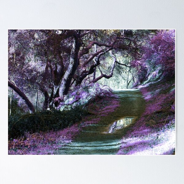 Item preview, Dark Fairy Trail designed and sold by Robert Ball.