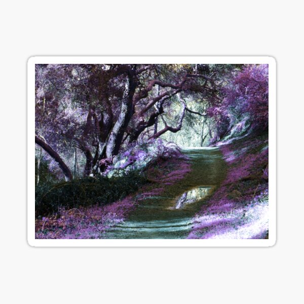 Item preview, Dark Fairy Trail designed and sold by Robert Ball.