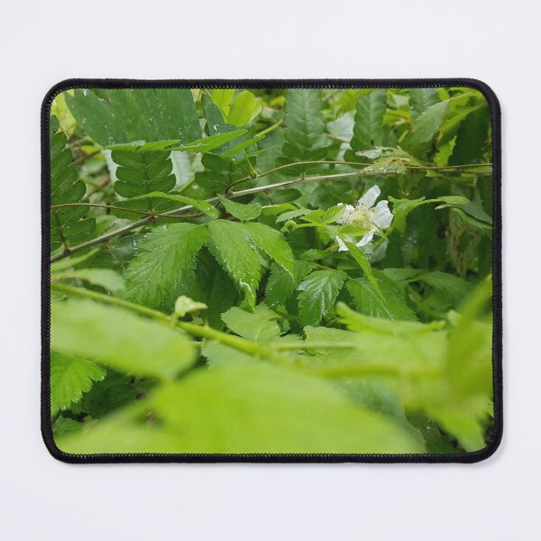 Item preview, Fresh green leaf and white flower designed and sold by Yusuf-Design.