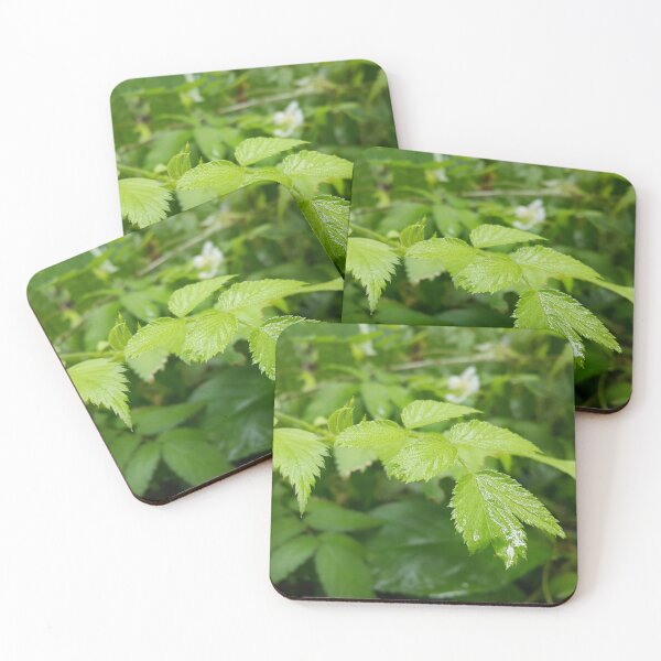 Item preview, Beautiful light green leaf  designed and sold by Yusuf-Design.