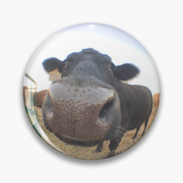 Item preview, Up-Close Cow designed and sold by sofisstickerbox.