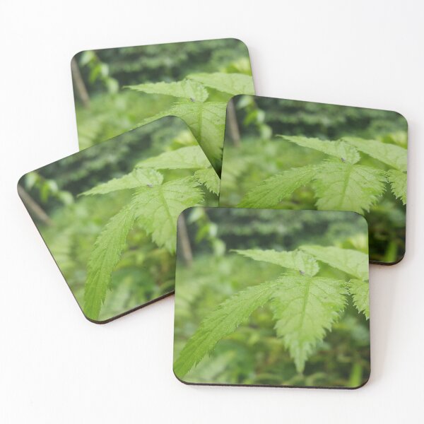 Item preview, Small animal resting on a beautiful green leaf designed and sold by Yusuf-Design.