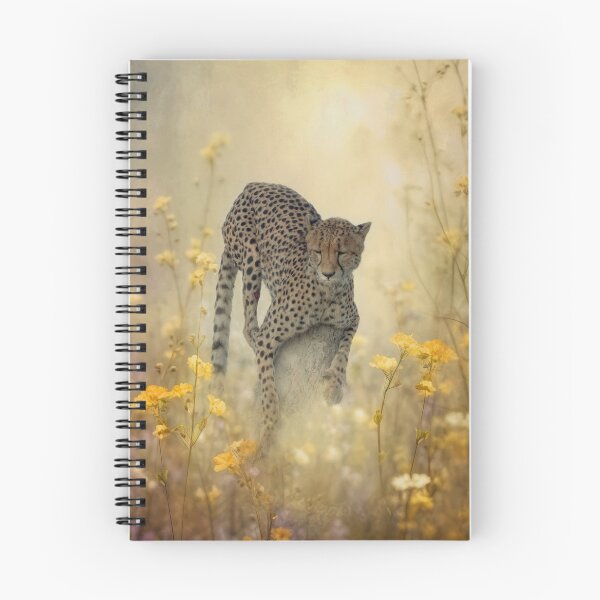Item preview, Nice place for a nap. designed and sold by Sabvaningphotoart.