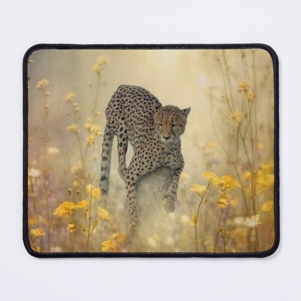 Item preview, Nice place for a nap. designed and sold by Sabvaningphotoart.