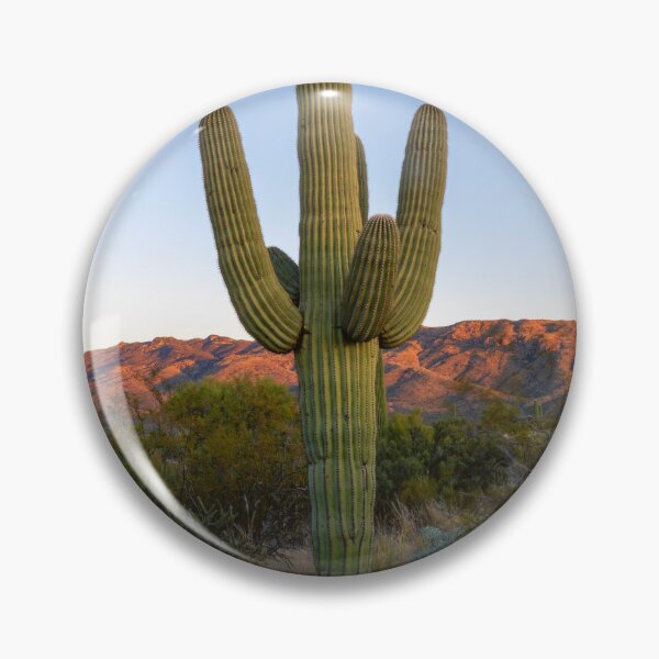 Artikelvorschau, Saguaro-Wüstenglühen entworfen und verkauft von DawsonImages.