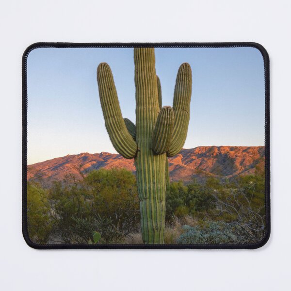 Item preview, Saguaro Desert Glow designed and sold by DawsonImages.