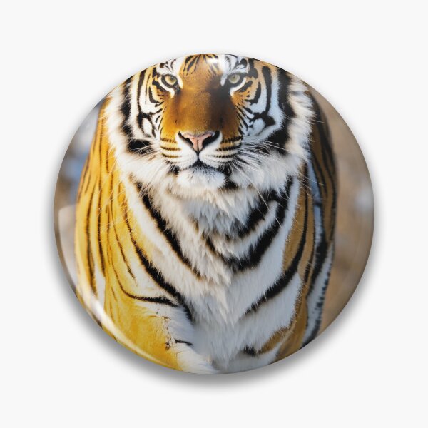 Item preview, Tiger iPhone Tough Case designed and sold by hsstudio2025.