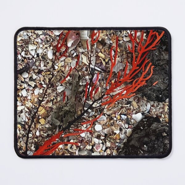 Item preview, An interesting beach find designed and sold by BeNaturally24.