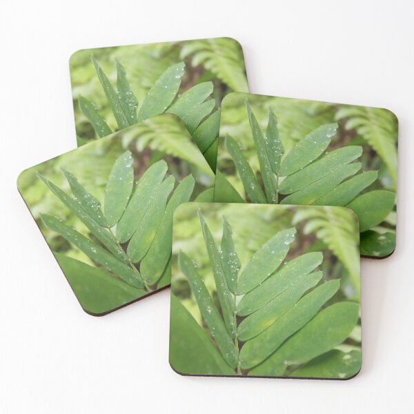 Item preview, Abrus precatorius leaves are perfect for Nature Lovers  designed and sold by Yusuf-Design.