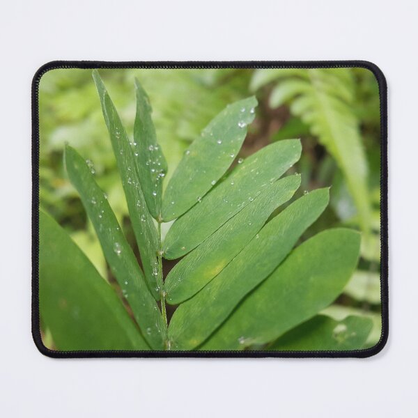 Item preview, Abrus precatorius leaves are perfect for Nature Lovers designed and sold by Yusuf-Design.