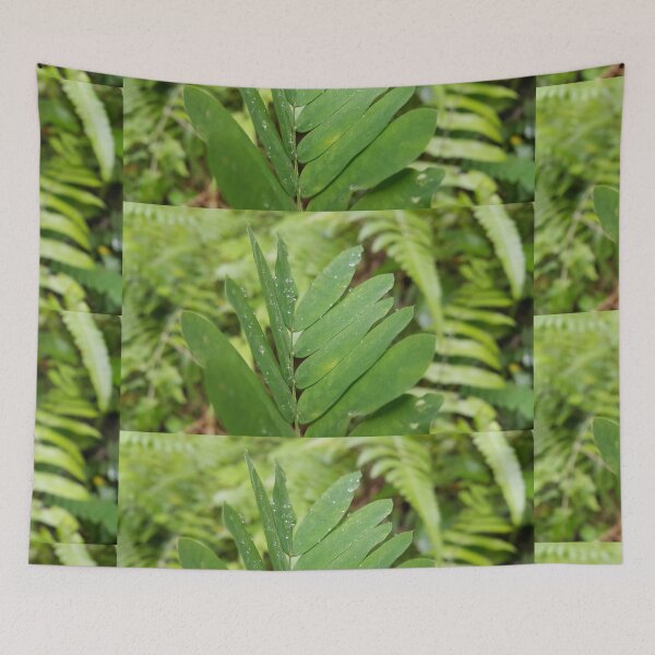 Item preview, Abrus precatorius leaves are perfect for Nature Lovers  designed and sold by Yusuf-Design.