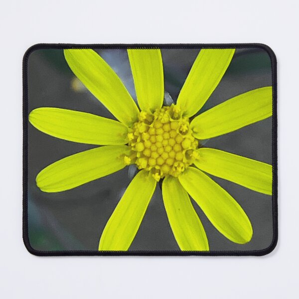 Item preview, A tiny flower that makes a huge impression designed and sold by BeNaturally24.