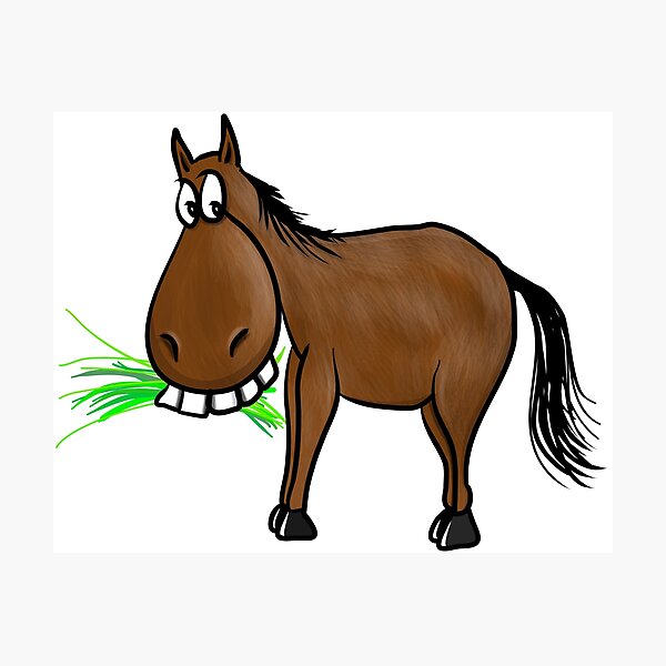 "Funny horse with hay" Photographic Print by AK1Shirts Redbubble