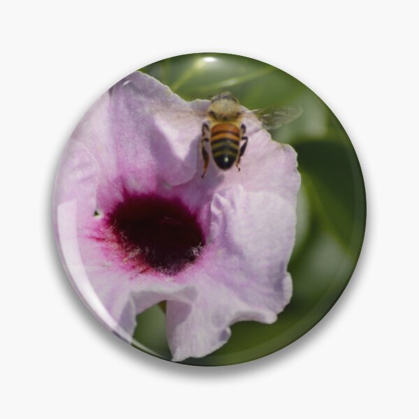 Item preview, Pandorea Jasminoides And Bee 1 designed and sold by MercerImages.