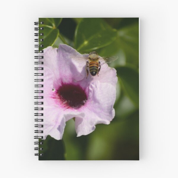 Item preview, Pandorea Jasminoides And Bee 1 designed and sold by MercerImages.