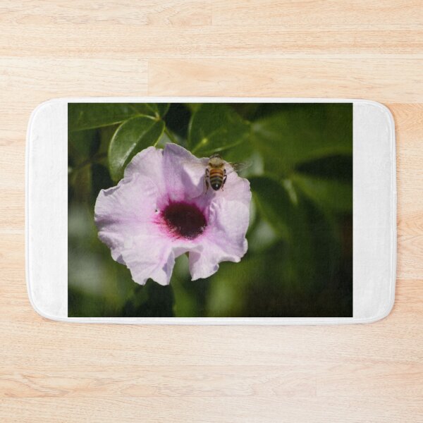 Item preview, Pandorea Jasminoides And Bee 1 designed and sold by MercerImages.