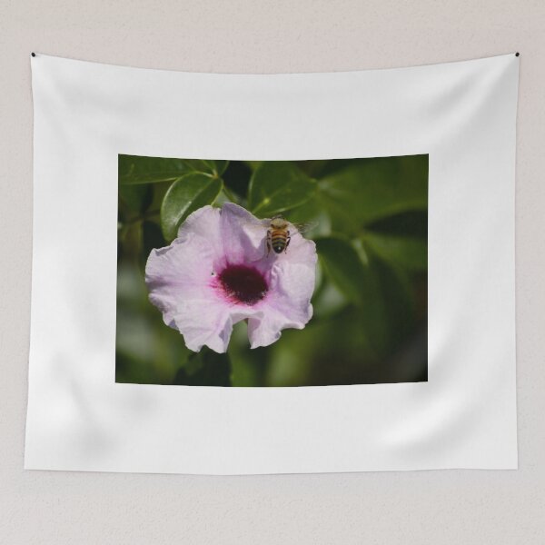 Item preview, Pandorea Jasminoides And Bee 1 designed and sold by MercerImages.