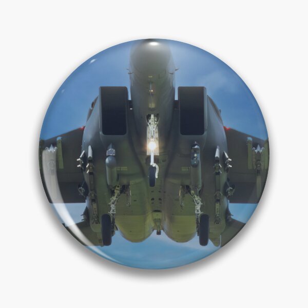 Item preview, F-15 Eagle coming in to Land!!!! designed and sold by Marc Russo.