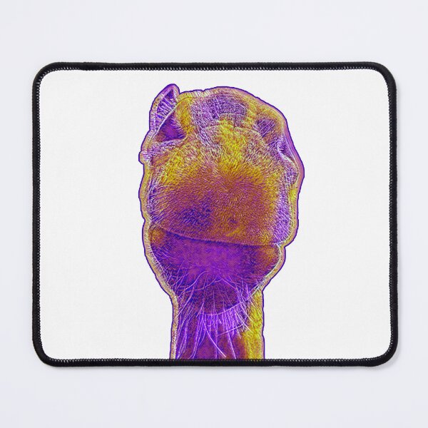 Item preview, Funny colored horse face photo for horse lovers designed and sold by CryptoLadyGabi.