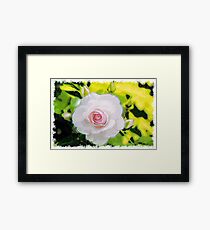 Nature drawn Art Framed Print