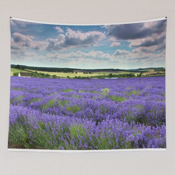 Item preview, Lavender field in the Cotswolds designed and sold by Susan Snow Photography and Design.