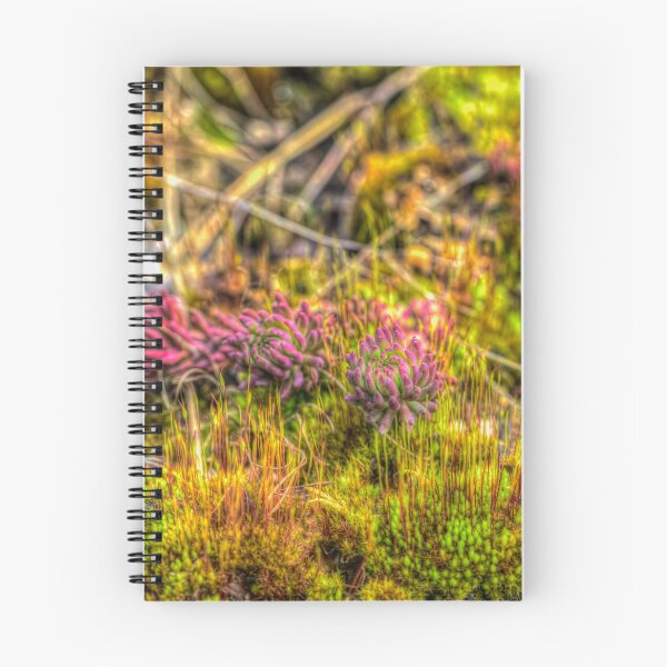 Item preview, March, spring time 7 designed and sold by Veikko  Suikkanen.
