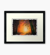 Nature drawn Art Framed Print