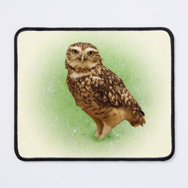 Item preview, Burrowing Owl designed and sold by Guardi71.
