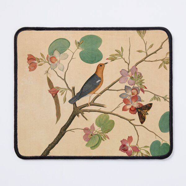 Item preview, An Orange-Headed Ground Thrush and  Orchid Branch designed and sold by ClassicPixl.