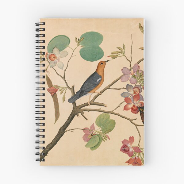 Item preview, An Orange-Headed Ground Thrush and  Orchid Branch designed and sold by ClassicPixl.