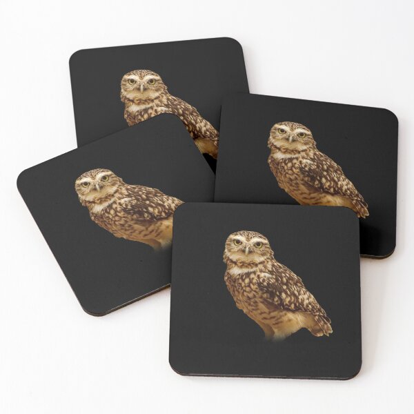 Item preview, Burrowing Owl designed and sold by Guardi71.