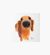 Dachshund PRiNT ' NoSeY DoG VaLeNTiNo ' BY SHiRLeY MacARTHuR Art Board