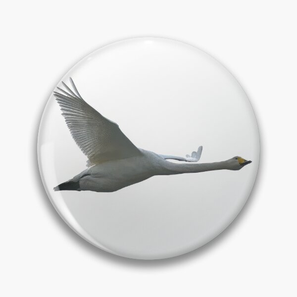 Item preview, Whoops 2. Whooper swan designed and sold by Jouko Lehto Photography.