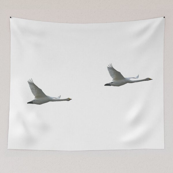 Item preview, Whoops 2. Whooper swan designed and sold by Jouko Lehto Photography.