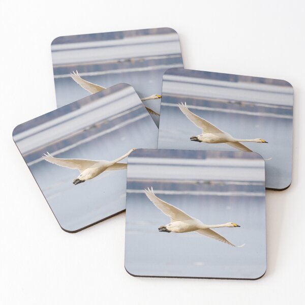 Item preview, Whoop. Whooper swan designed and sold by Jouko Lehto Photography.