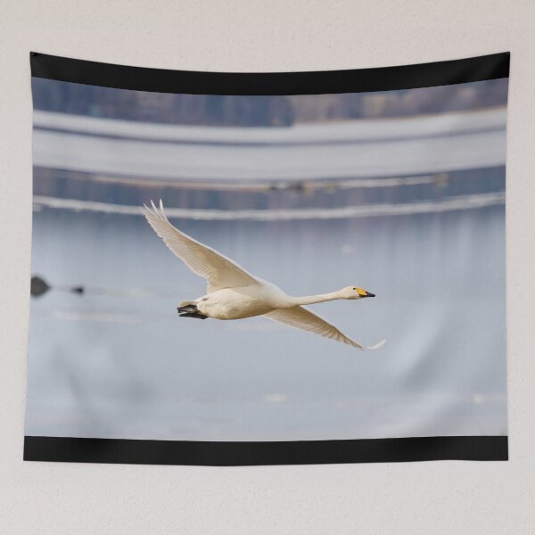 Item preview, Whoop. Whooper swan designed and sold by Jouko Lehto Photography.