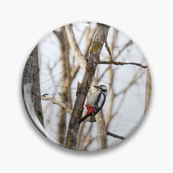 Item preview, X-type. Great spotted woodpecker designed and sold by Jouko Lehto Photography.