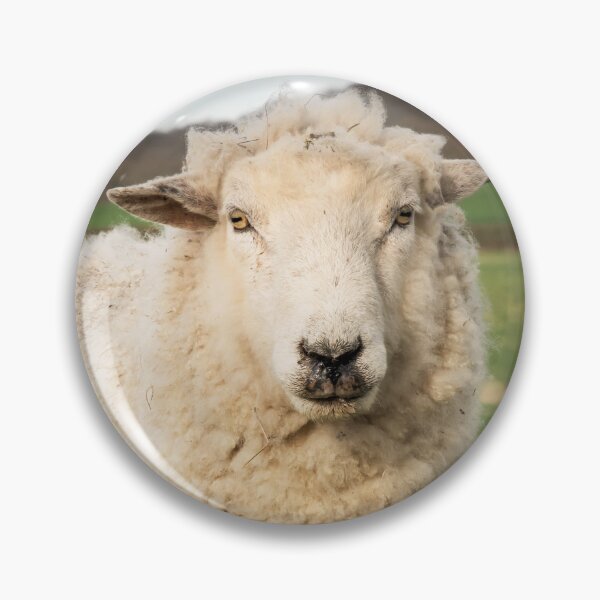 Item preview, A Sheep designed and sold by JEZ22.