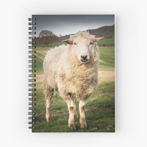 Item preview, A Sheep designed and sold by JEZ22.