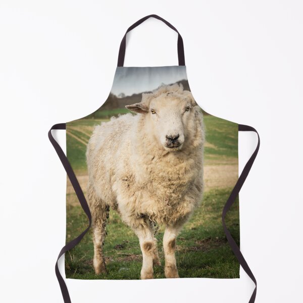 Item preview, A Sheep designed and sold by JEZ22.