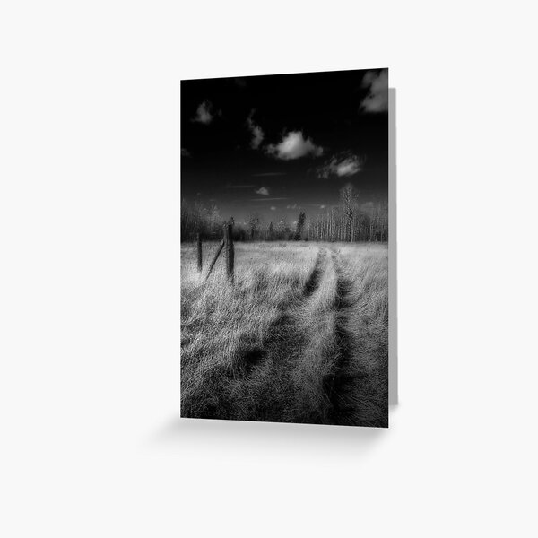 Road Less Travelled Greeting Card