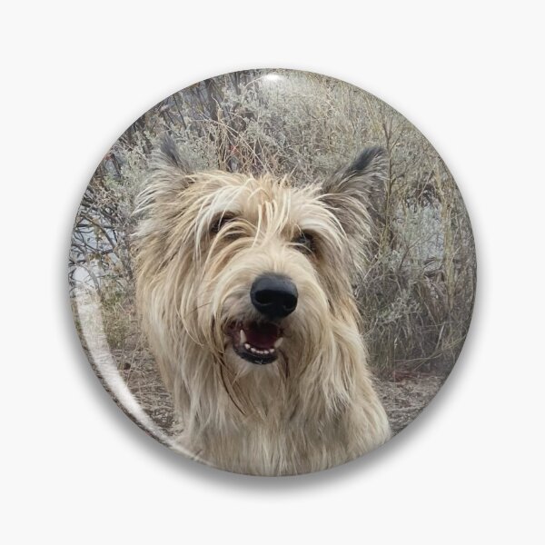 Item preview, Berger Picard dog designed and sold by Marcia and Ron Stacy Studios.