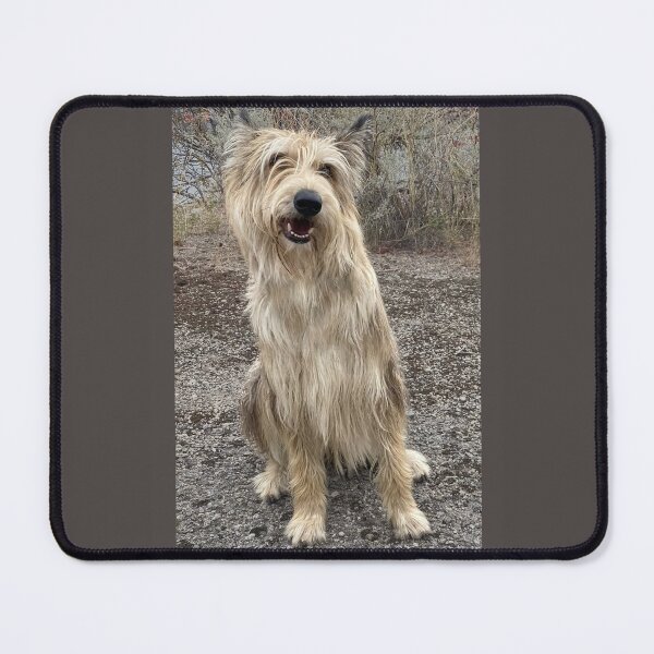 Item preview, Berger Picard dog designed and sold by Marcia and Ron Stacy Studios.