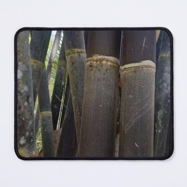 Item preview, Black Bamboo designed and sold by Quantum-Life.