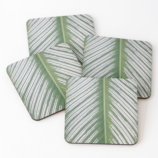 Item preview, Calathea designed and sold by Quantum-Life.