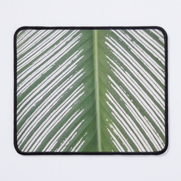 Item preview, Calathea designed and sold by Quantum-Life.