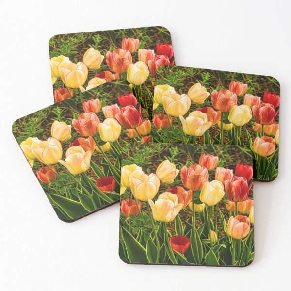 Item preview, Impressions of Gardens - Particolored Vernal Tulips designed and sold by Georgia Mizuleva.