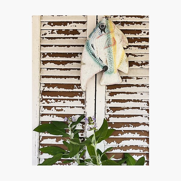 Aperçu de l'œuvre Volets blancs patinés en fleurs de sauge lilas créée et vendue par What Else Is Orange.