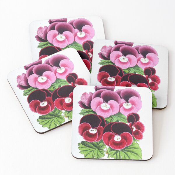 Item preview, Vintage Pelargoniums Print from The Biodiversity Heritage Library (1861) designed and sold by Douglas E. Welch Design and Photography.