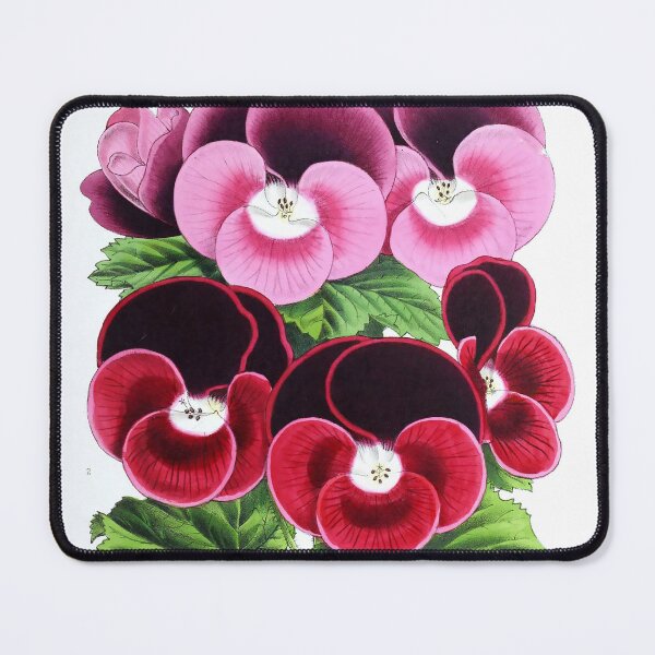 Item preview, Vintage Pelargoniums Print from The Biodiversity Heritage Library (1861) designed and sold by Douglas E. Welch Design and Photography.